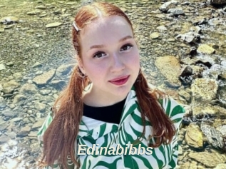 Edinabibbs