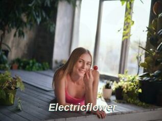 Electricflower
