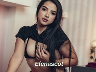 Elenascot