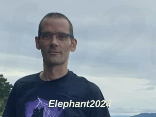 Elephant2024