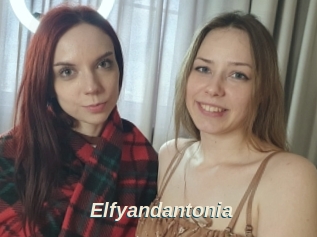 Elfyandantonia