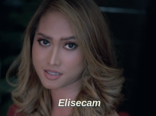 Elisecam