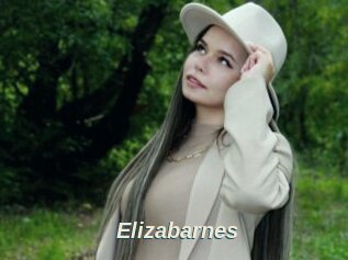 Elizabarnes