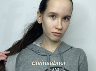Elvinaabner