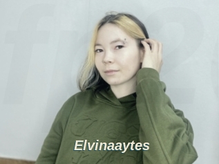Elvinaaytes
