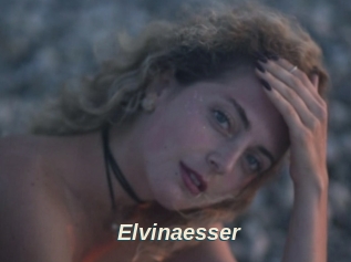 Elvinaesser