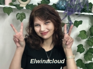 Elwinacloud