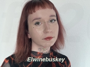 Elwinebuskey