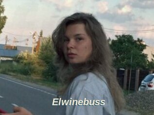 Elwinebuss