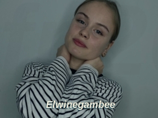 Elwinegambee