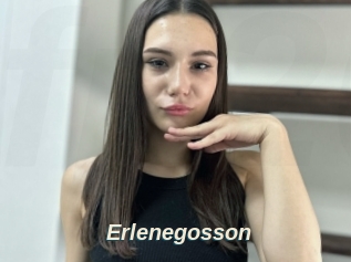 Erlenegosson