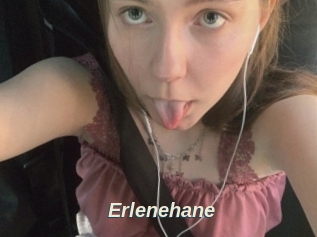 Erlenehane