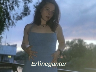 Erlineganter