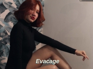 Evacage