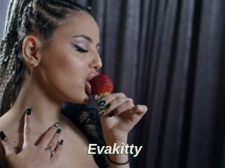 Evakitty