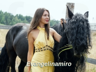 Evangelinamiro