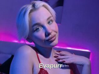 Evapurr