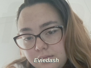 Eviedash