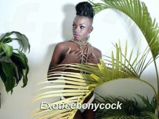 Exoticebonycock