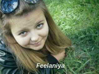 Feelaniya