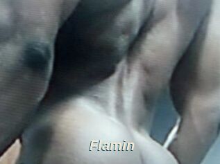 Flamin