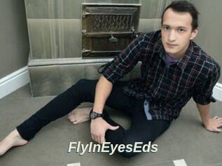 FlyInEyesEds