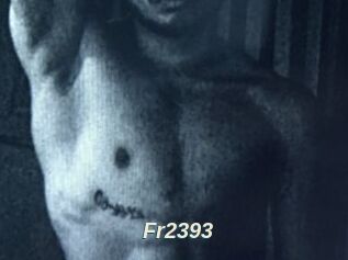 Fr2393