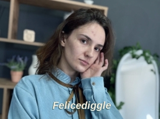 Felicediggle
