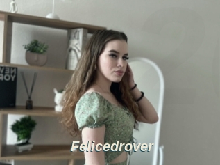 Felicedrover