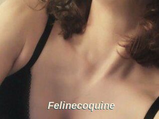 Felinecoquine