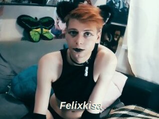 Felixkisa