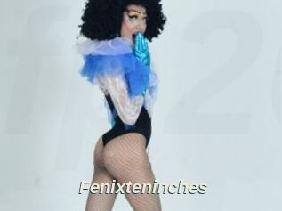 Fenixteninches