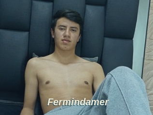 Fermindamer