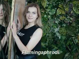 Flamingaphrodi