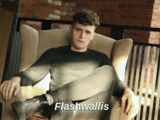 Flashwallis