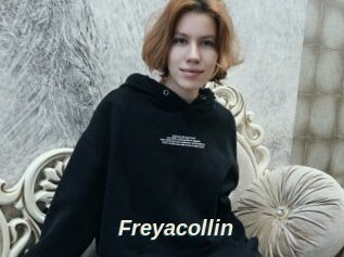 Freyacollin