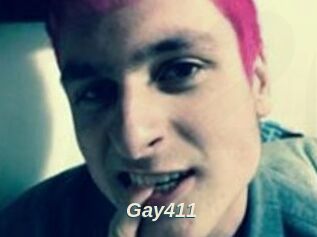 Gay411