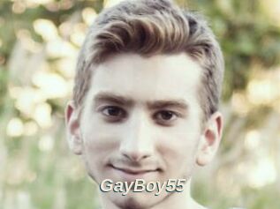 GayBoy55