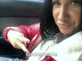 GentleDahlia