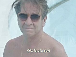 Galloboy4