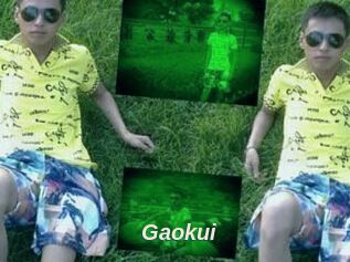 Gaokui