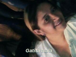 Gatita_mala