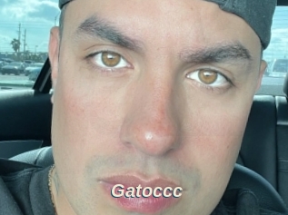 Gatoccc