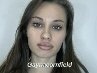 Gaynacornfield