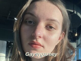 Gaysygarney