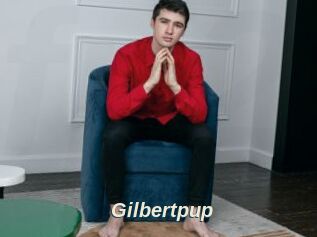 Gilbertpup