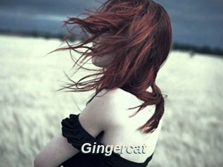 Gingercat