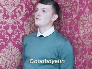 Goodboyelin