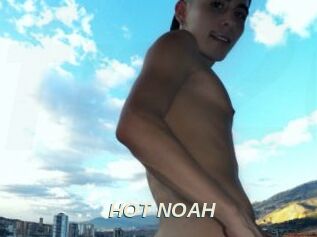 HOT_NOAH