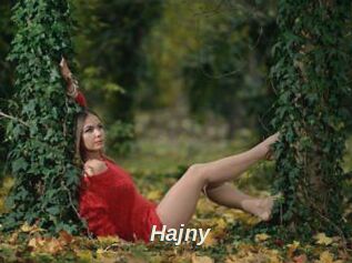 Hajny